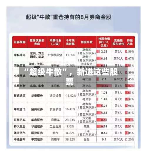 “超级牛散”，新进这些股票-第2张图片