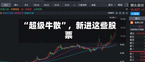 “超级牛散”，新进这些股票-第3张图片