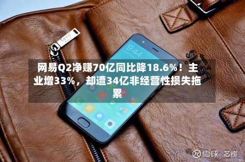 网易Q2净赚70亿同比降18.6%！主业增33%，却遭34亿非经营性损失拖累-第2张图片