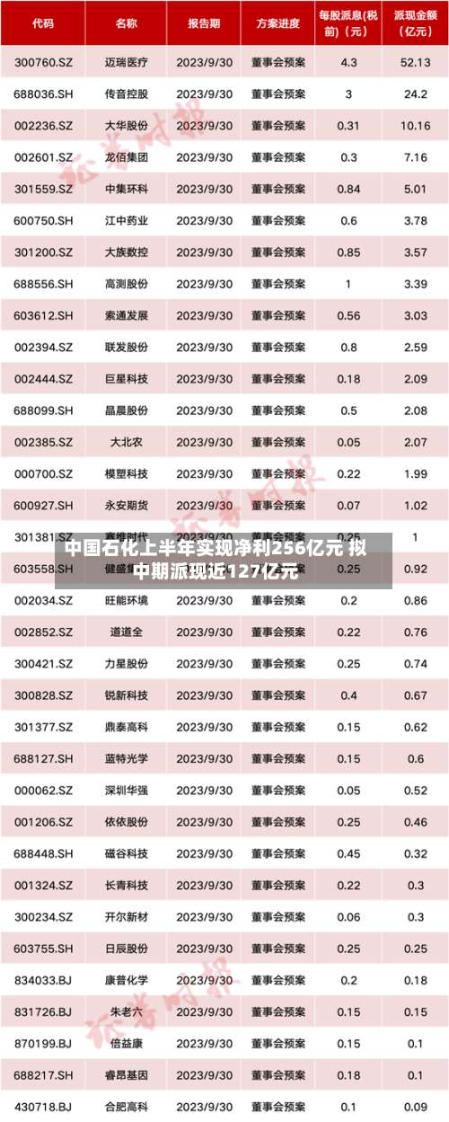 中国石化上半年实现净利256亿元 拟中期派现近127亿元