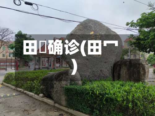 田墘确诊(田冖)