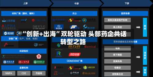 “创新+出海”双轮驱动 头部药企共话转型之路