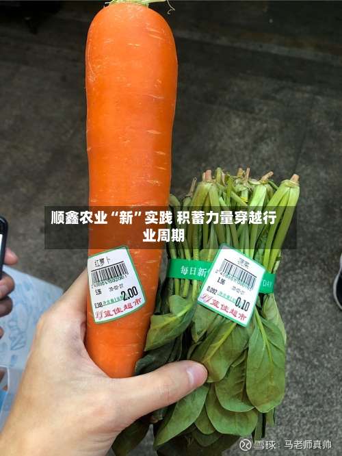 顺鑫农业“新”实践 积蓄力量穿越行业周期-第2张图片