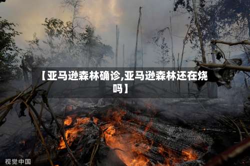 【亚马逊森林确诊,亚马逊森林还在烧吗】