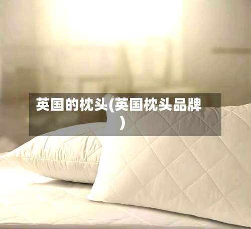 英国的枕头(英国枕头品牌)-第2张图片