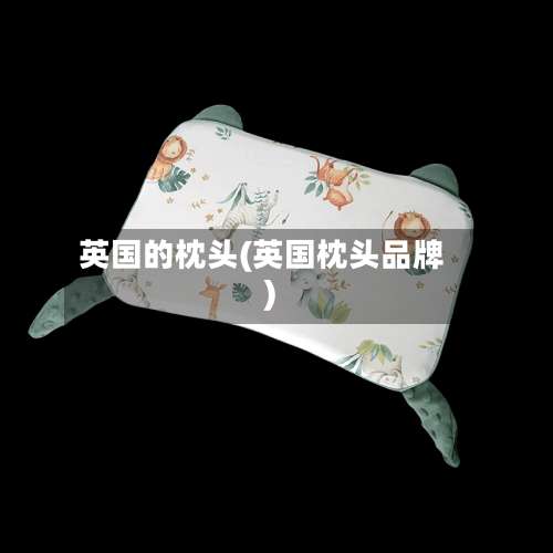 英国的枕头(英国枕头品牌)-第3张图片
