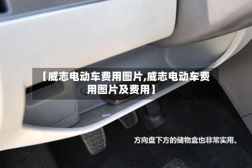 【威志电动车费用图片,威志电动车费用图片及费用】