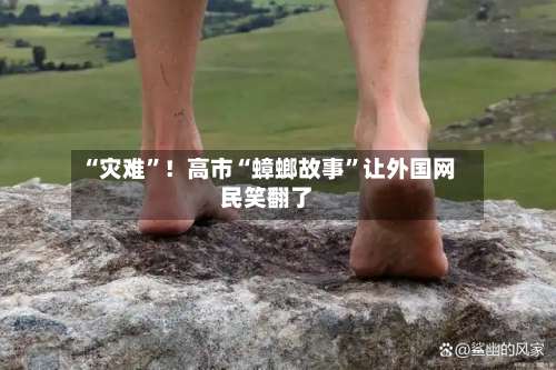 “灾难	”！高市“蟑螂故事”让外国网民笑翻了-第2张图片