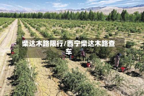 柴达木路限行/西宁柴达木路查车