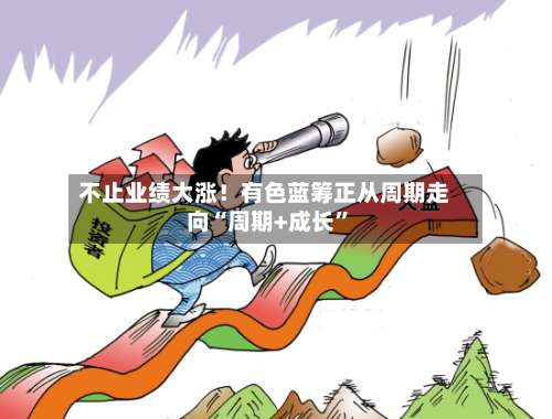 不止业绩大涨！有色蓝筹正从周期走向“周期+成长”-第2张图片