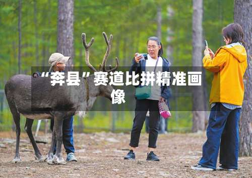 “奔县”赛道比拼精准画像-第2张图片