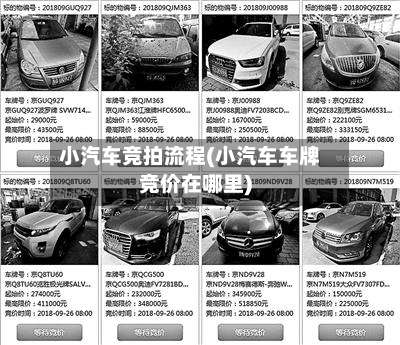 小汽车竞拍流程(小汽车车牌竞价在哪里)-第2张图片