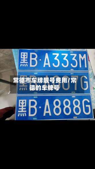 常德市车牌靓号费用/常德的车牌号