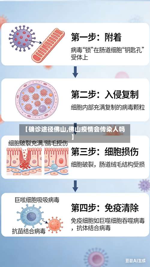 【确诊途径佛山,佛山疫情会传染人吗】