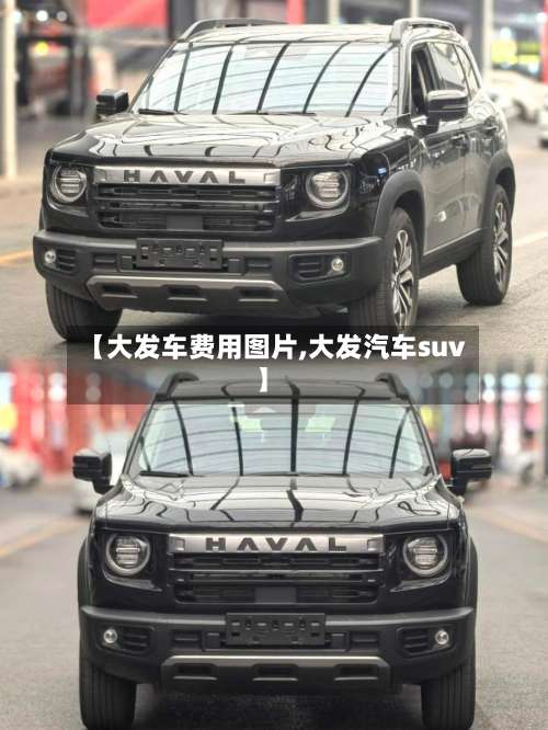 【大发车费用图片,大发汽车suv】