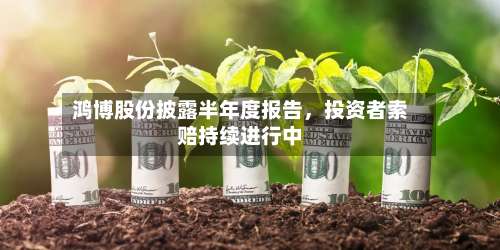 鸿博股份披露半年度报告	，投资者索赔持续进行中-第3张图片
