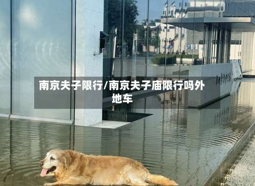 南京夫子限行/南京夫子庙限行吗外地车