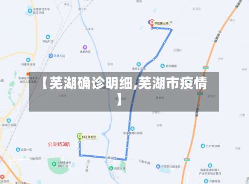 【芜湖确诊明细,芜湖市疫情】
