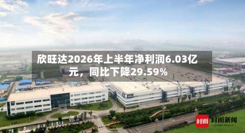 欣旺达2026年上半年净利润6.03亿元，同比下降29.59%-第3张图片