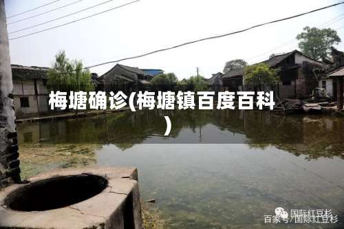 梅塘确诊(梅塘镇百度百科)