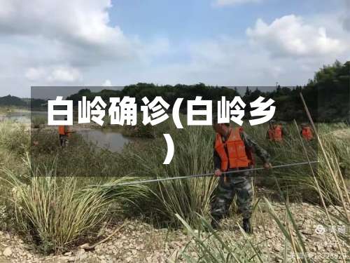 白岭确诊(白岭乡)-第3张图片