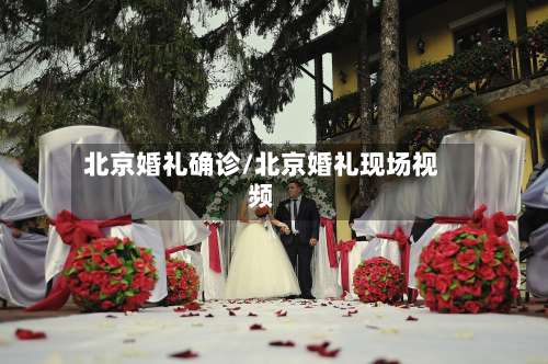 北京婚礼确诊/北京婚礼现场视频