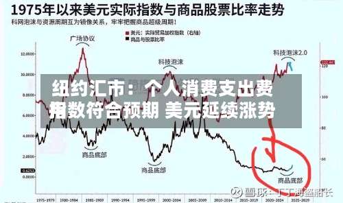 纽约汇市：个人消费支出费用指数符合预期 美元延续涨势