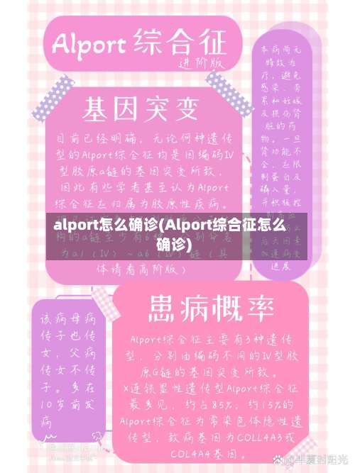alport怎么确诊(Alport综合征怎么确诊)