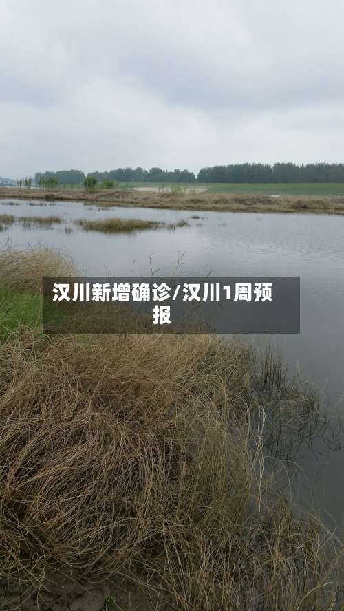 汉川新增确诊/汉川1周预报