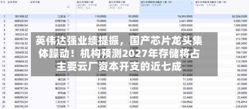 英伟达强业绩提振，国产芯片龙头集体躁动！机构预测2027年存储将占主要云厂资本开支的近七成