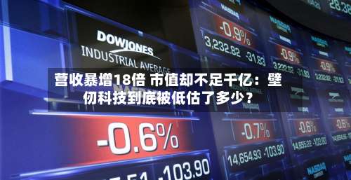 营收暴增18倍 市值却不足千亿:壁仞科技到底被低估了多少?-第2张图片