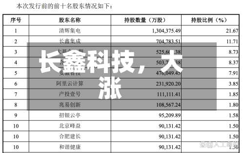 长鑫科技，大涨