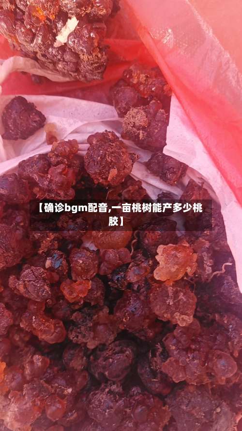 【确诊bgm配音,一亩桃树能产多少桃胶】
