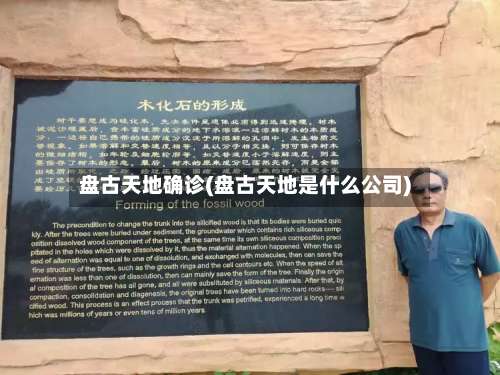 盘古天地确诊(盘古天地是什么公司)-第3张图片