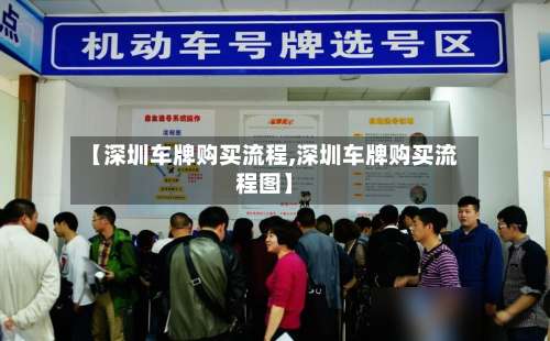 【深圳车牌购买流程,深圳车牌购买流程图】-第2张图片