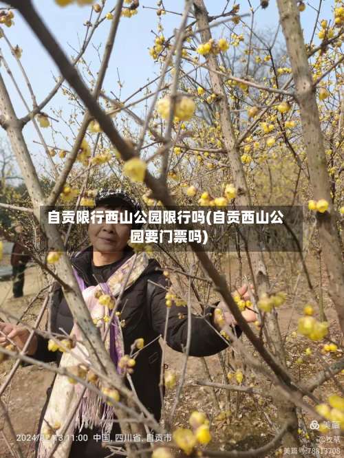 自贡限行西山公园限行吗(自贡西山公园要门票吗)-第2张图片