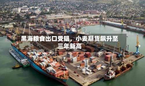 黑海粮食出口受阻，小麦期货飙升至三年新高-第2张图片