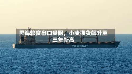 黑海粮食出口受阻，小麦期货飙升至三年新高-第3张图片