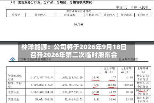 林洋能源：公司将于2026年9月18日召开2026年第二次临时股东会