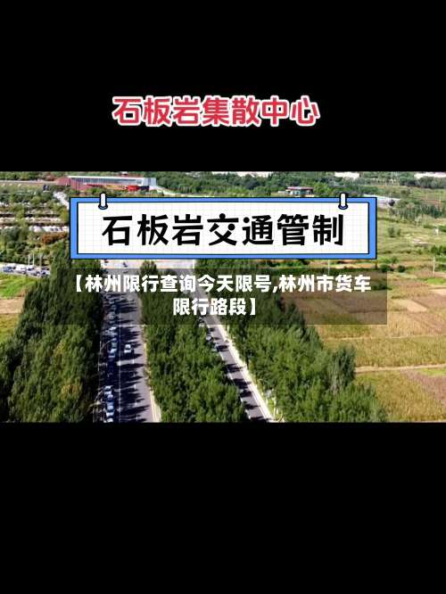 【林州限行查询今天限号,林州市货车限行路段】