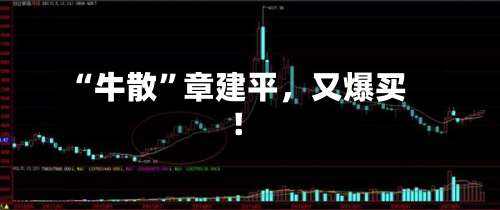 “牛散”章建平，又爆买！-第2张图片