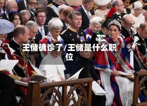 王储确诊了/王储是什么职位-第3张图片