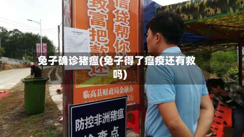 兔子确诊猪瘟(兔子得了瘟疫还有救吗)-第3张图片