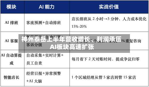 神州泰岳上半年营收增长、利润承压 AI板块高速扩张-第3张图片