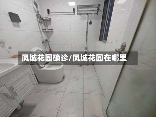 凤城花园确诊/凤城花园在哪里-第2张图片
