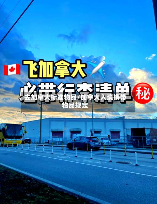 去加拿大标准物品/加拿大入境携带物品规定-第3张图片