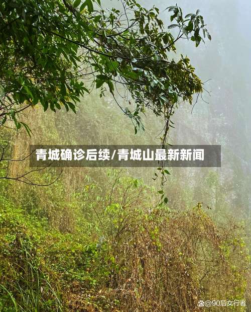 青城确诊后续/青城山最新新闻