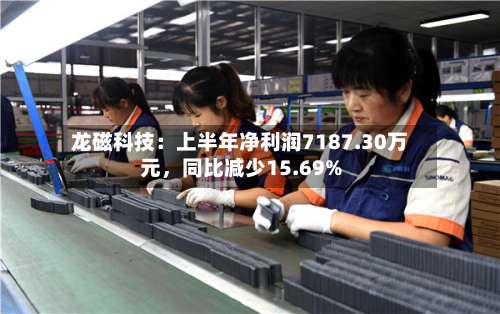 龙磁科技：上半年净利润7187.30万元，同比减少15.69%