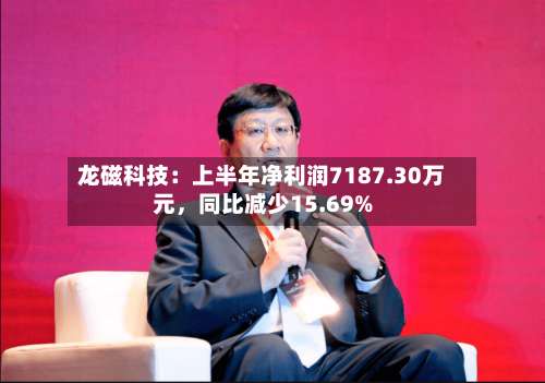 龙磁科技：上半年净利润7187.30万元，同比减少15.69%-第2张图片