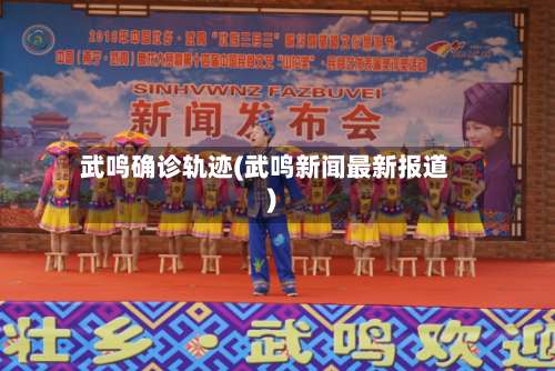 武鸣确诊轨迹(武鸣新闻最新报道)